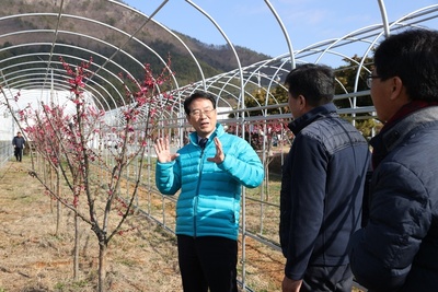 메인사진