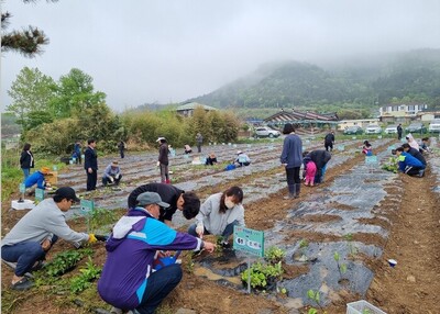 메인사진