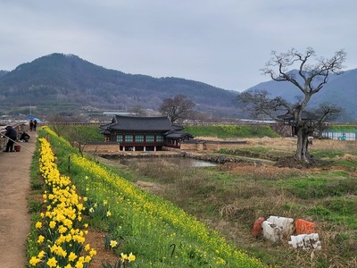 메인사진