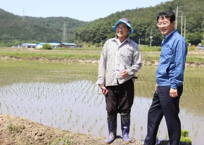 메인사진