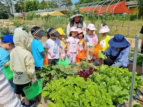 메인사진