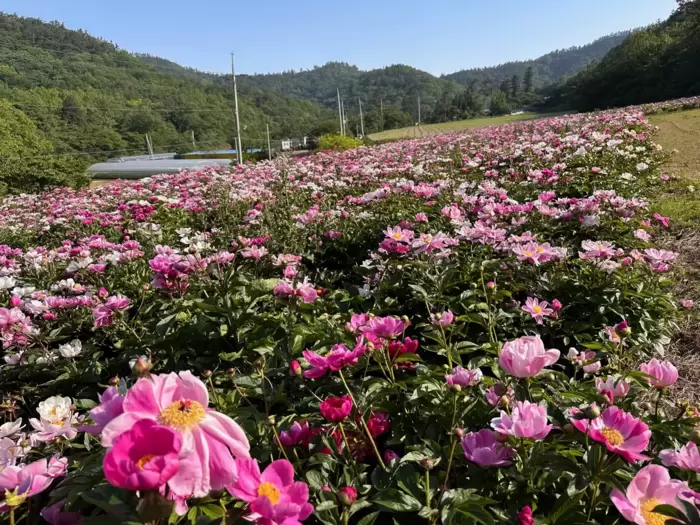 메인사진