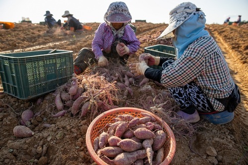 메인사진